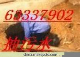 海定区中关村下水道清理疏通管道13552572125